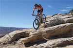 Niner bicycles will take you places!