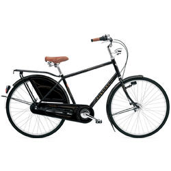 Electra Amsterdam Royal 8i  